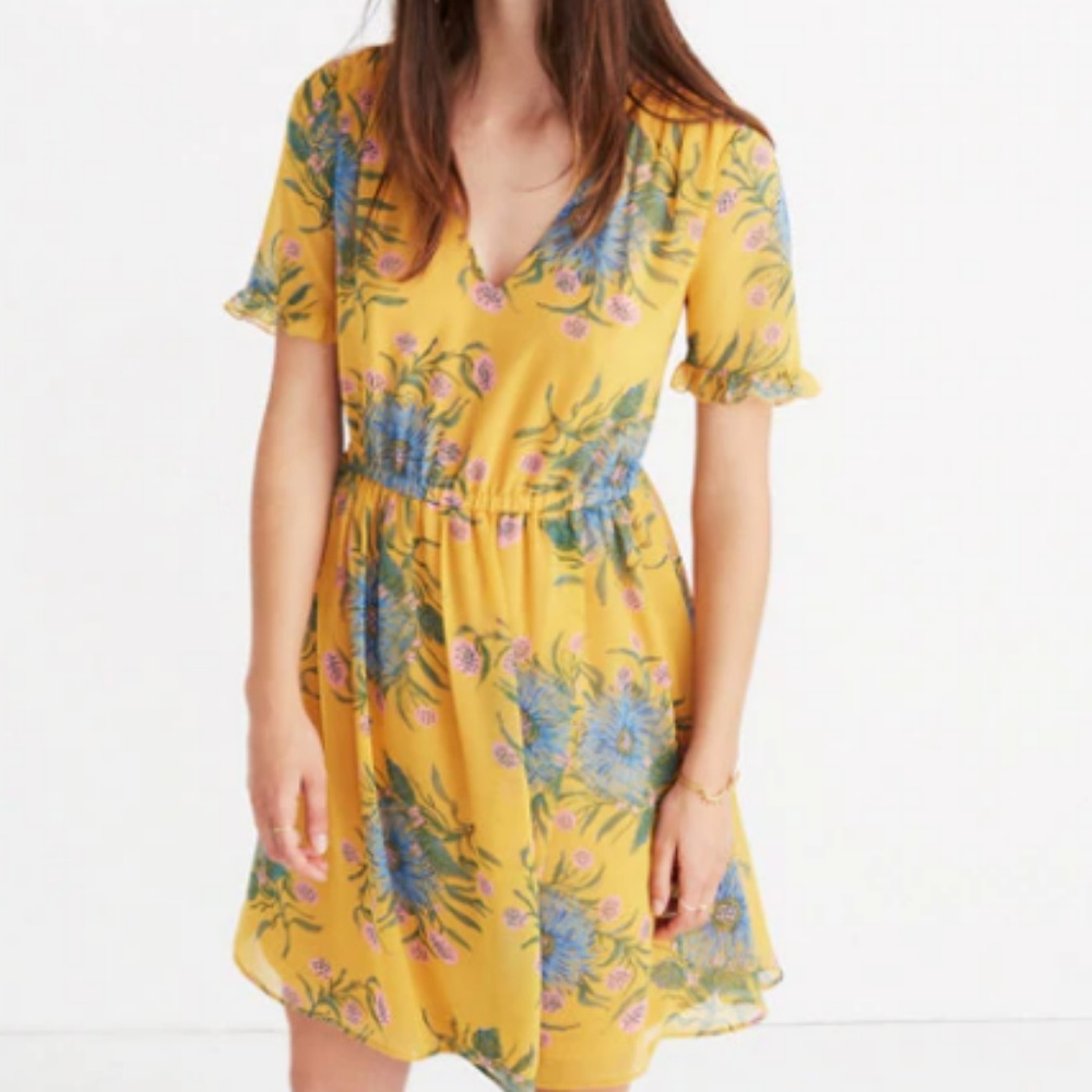 Madewell Sweetgrass Ruffle-Sleeve Dress in Painted